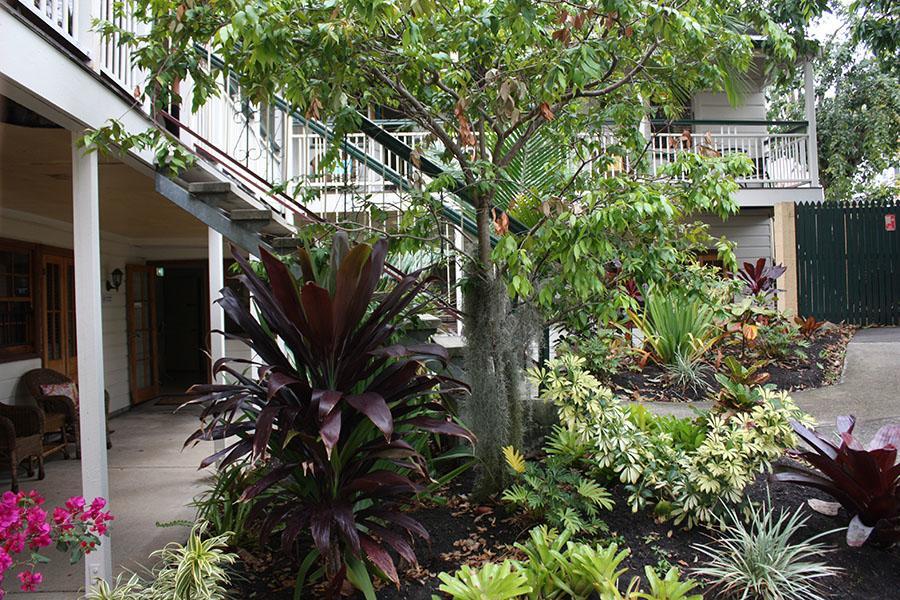 Ellie'S Guest House Brisbane Exterior photo